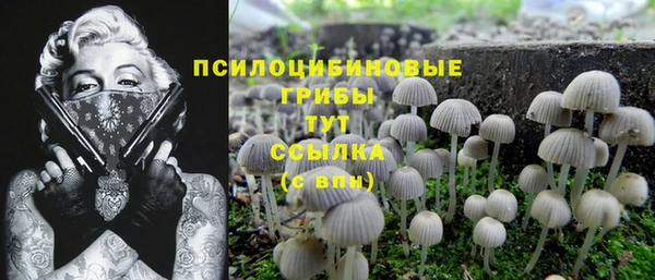 кокс Абаза